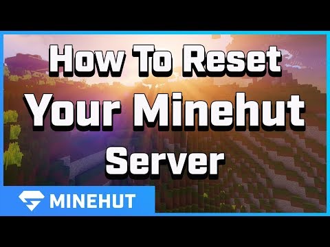 1st YouTube video about how to delete a minehut server