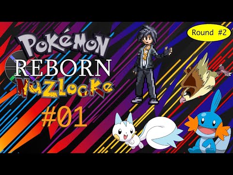 Pokemon Reborn Nuzlocke 1: Back For Round 2