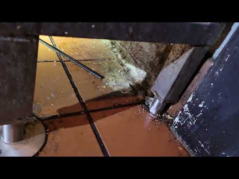 Sanitation Problems Lead to Fruit Flies Problems in Brick, NJ