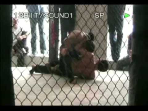 Jody Collins Cage Fights 2&3