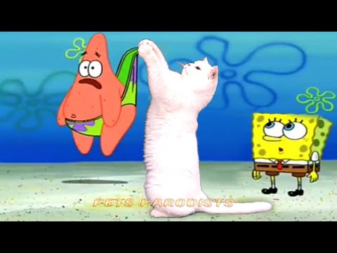 Beating Up Patrick