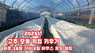 고추모종키우기 가식2일 파종18일 괴산청결고추 육묘장 충북 괴산 풀뿌리농장 자연특별시괴산 자연울림 괴산유튜브…