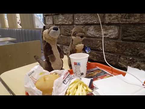Abendessen für die Otter Marlenka und Finley Flink bei KFC Leipzig Hbf