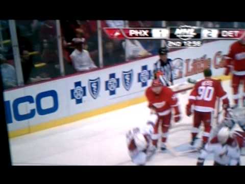 Detroit Red Wings fan shows his dismay
