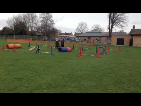 Enve Canine Services video.