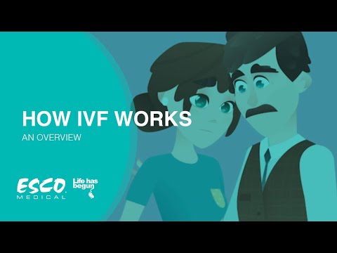 How In Vitro Fertilization (IVF) Works: An Overview | Esco Medical