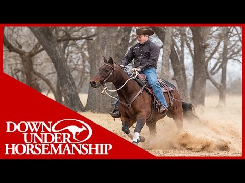 Clinton Anderson: How to Correct a Horse That Spooks - Downunder Horsemanship