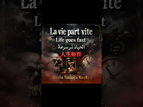 RADJI LA VIE PART VITE SON #2025 #974island #rap #music #chillmusic 