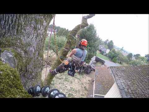 Mayfield Horticulture Ltd. video.