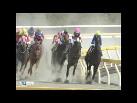 2016.05.08 Brilliant Stakes (JPN) - Apollo Kentucky