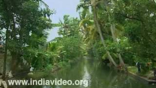Inland Waterways of Backwaters 