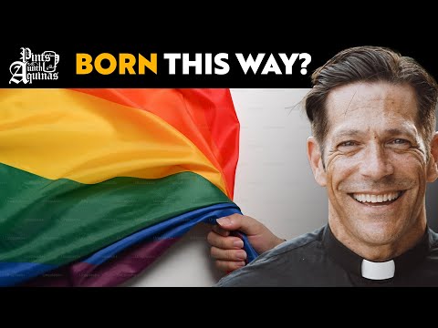 Are People Born Gay? (Fr. Mike Schmitz)