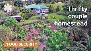 Thrifty couple grows all their food in their food-forest backyard