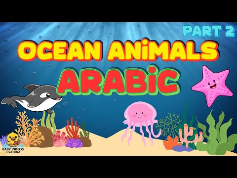 OCEAN ANIMALS  Song in ARABIC Part 2 | Learn in English and Arabic (Phonetic)