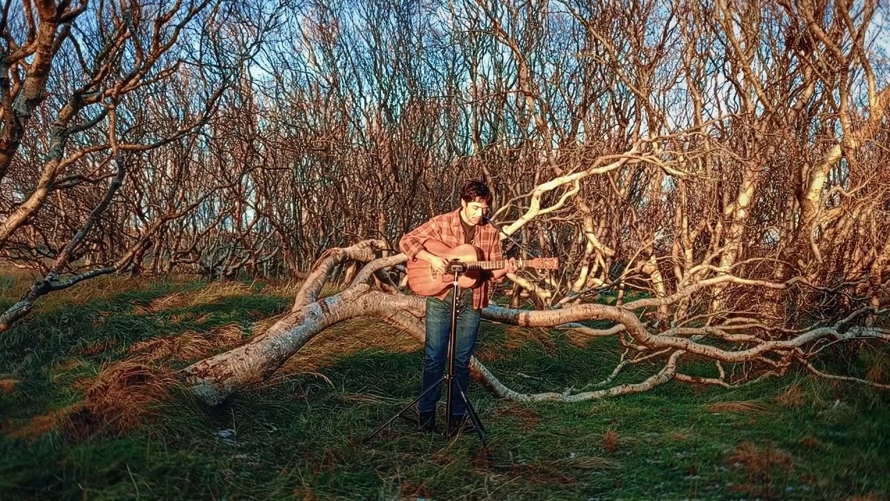 Polat Yeats — Not This Time (a #Baltrum25 Bootleg)