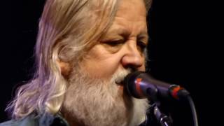 Blue Rodeo - Rose Coloured Glasses