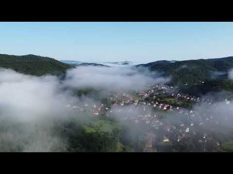 pénisz Amszterdamban