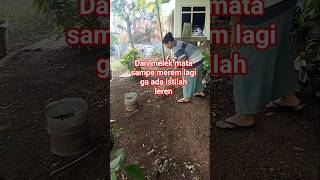 Download lagu jadi gak heran kalo capek #shortvideo #shorts #kulingarit #ibuneabikya #youtubeshorts #youtube mp3