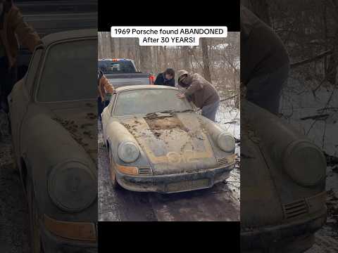 1969 Porsche First Wash in 30 YEARS!