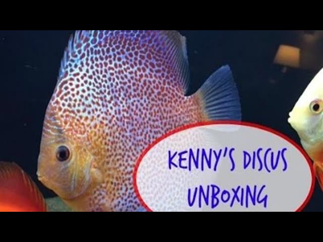 Kenny's Discus Unboxing
