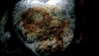 Kuna Caves~ Spelunking The rickety ladder~5/8/16 by Robert Scott~ Boise, ID.