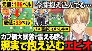 【あつ森】カブ価大暴落で震える膝を、バネ理論のイメトレと称し現実で抱え込むエビオ【にじさんじ切り抜き/エクス・アルビオ】