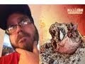 The Acacia Strain-Death Is The Only Mortal-Review ...
