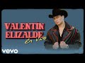 Valentin Elizalde - La Pecosita (En Vivo)