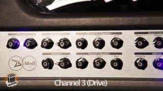 review - Diezel D-Moll head @ ampsonair.com