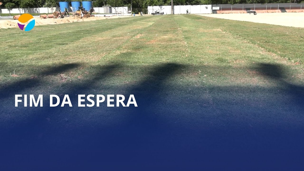 Nova grama começa a ser colocada no estádio Alfredo João Krieck