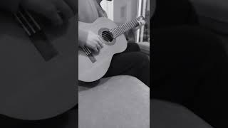 Blind Owl-Badfinger Guitar Cover