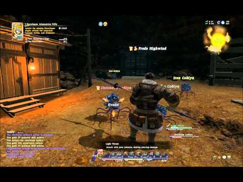 FFXIV Level 30 Leve Necrologos Adamantine Wills ★★-25 Lancer 33 Physical Level