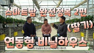 스마트팜 완전정복 2편. 연동형 비닐하우스. 시설딸기. 설비부터 다양한 조언을 들어보세요