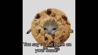 Cover art for what color is the sky