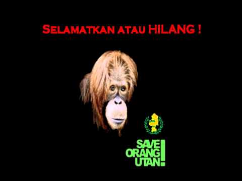 Shaggy Dog - Selamatkan atau Hilang