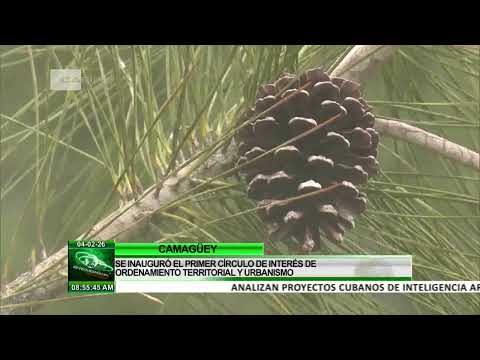 Guantánamo lidera la conservación forestal en Cuba