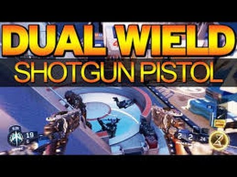 Dual Wield BEAST KICKASS MONTAGE