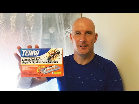 Terro Liquid Ant Baits (4K) Detailed Review