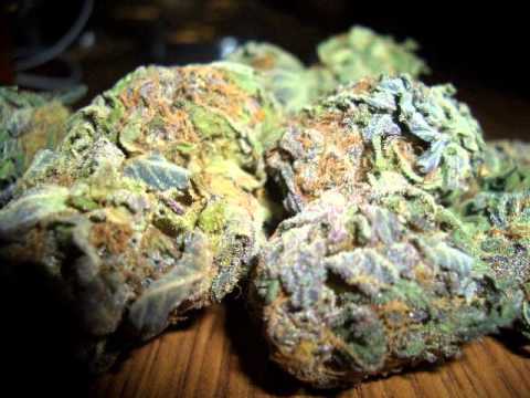 Yung Pook G - Da High Life