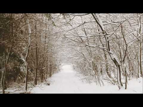 Nicht Verantwortlich 551, Texte zum Diskutieren