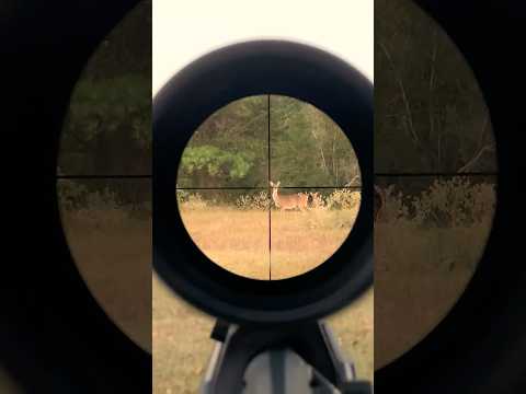 Best Rifle for the Money!? Christensen Arms Evoke Review | Gear for Deer