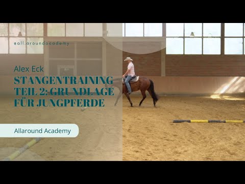 Stangentraining Teil 2: Grundlage für Jungpferde