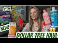 DOLLAR TREE HAUL NEW AMAZING BRAND NAME FINDS MUST SEE