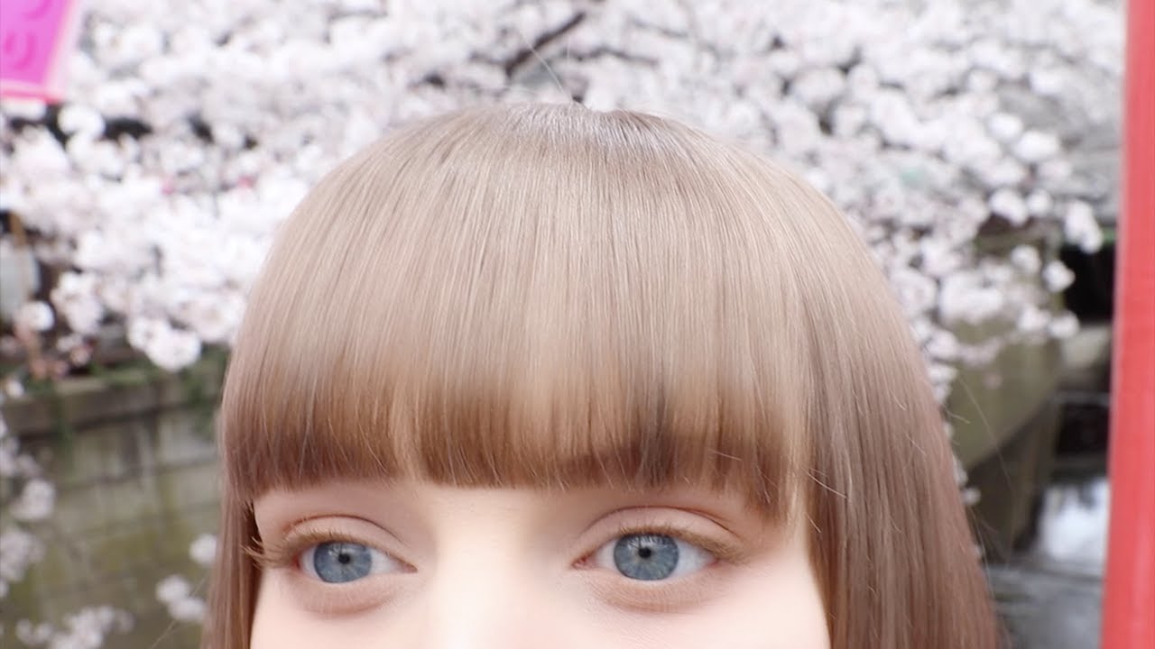 Last Cherry Blossoms of an Era - 平成最後の花見