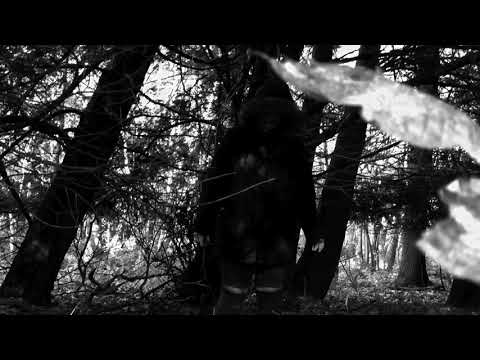 VETRAR DRAUGURINN - Twelfth Night (Official Video) | Painted Bass Records