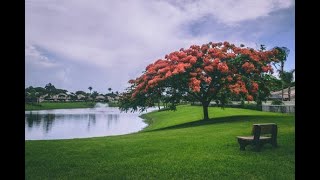 When We Were Young - Charlie Brennan &amp; Miller Guth | panda boy channel