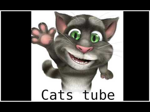 Cats tube - Jennifer Lopez & Flo Rida
