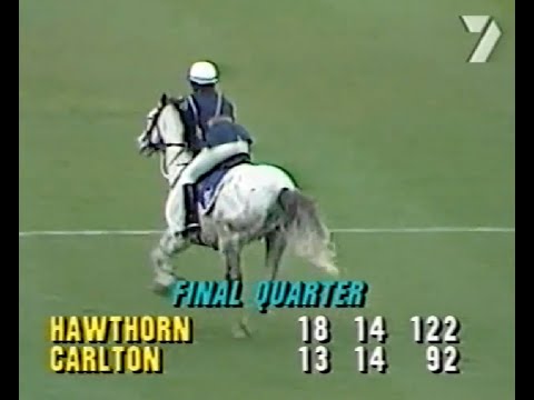 1984 Qualifying Final - Hawthorn vs Carlton at Waverley Park.