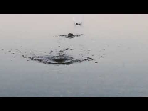 Introduction à la mécanique quantique