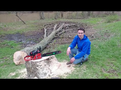 THE UNTHINKABLE HAPPENED WHILE CUTTING DOWN A HUGE ASH TREE NEAR A HOUSE!! TIMBERPRO TAKES A TUMBLE!